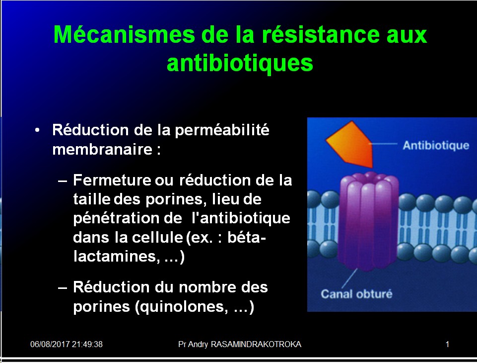 Antibiotiques 46