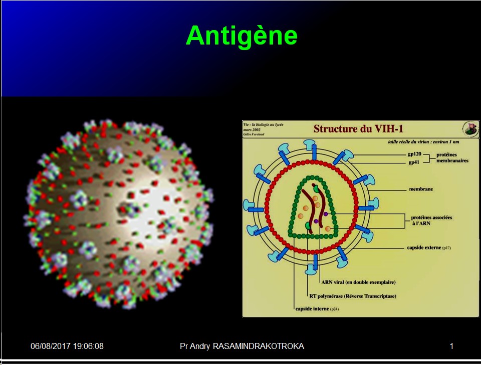 Antigènes 3
