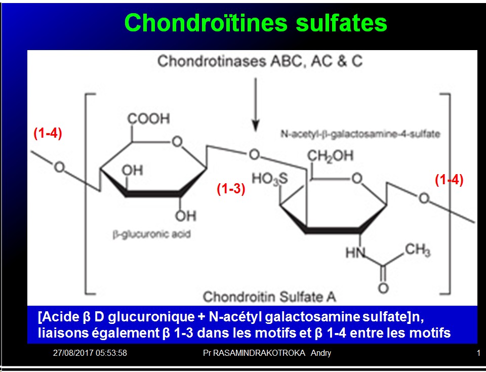 Biomolécules glucidiques 49