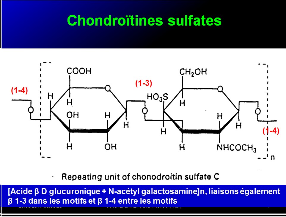 Biomolécules glucidiques 51
