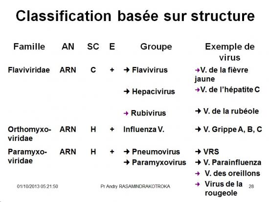 Classification et taxonomie des virus 10