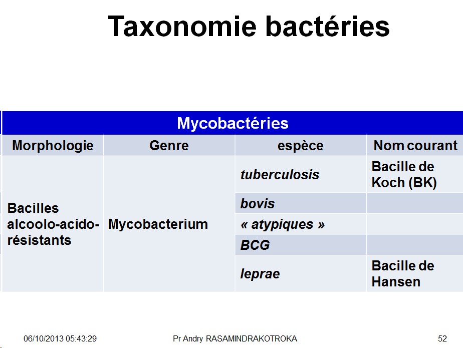 Classification - taxonomie des bactéries 15