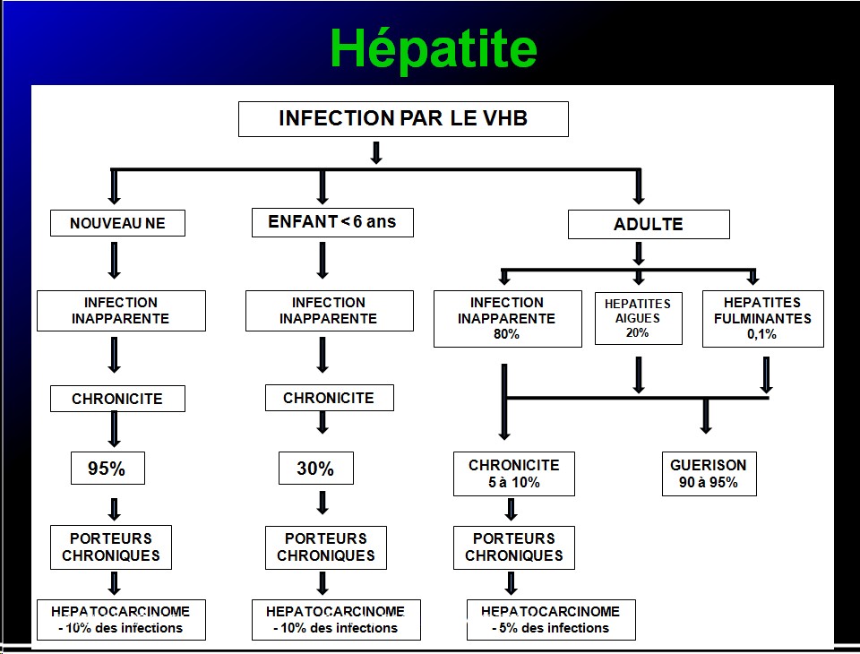Images sélectionnées virus des hépatites8