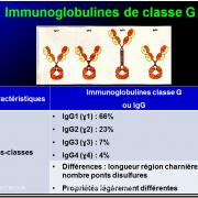 Immunoglobulines 11