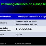 Immunoglobulines 17