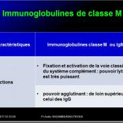 Immunoglobulines 18
