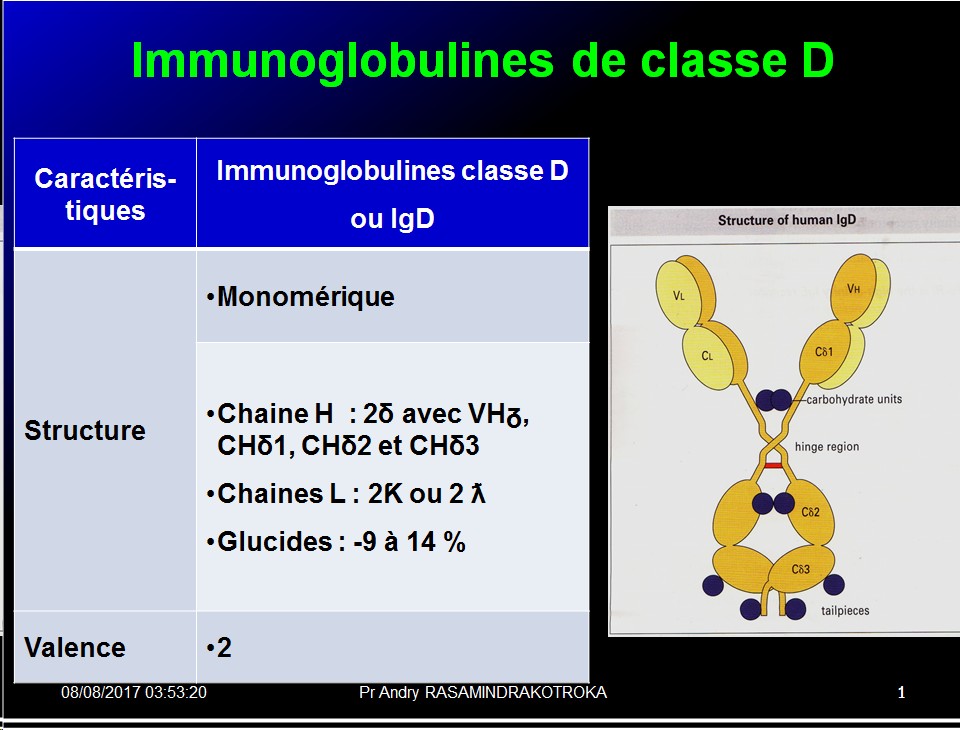 Immunoglobulines 40