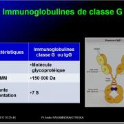 Immunoglobulines 9