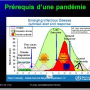 Pandémies humaines 2