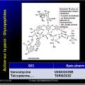 Antibiotiques 15