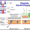 Antibiotiques 3