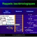 Antibiotiques 4