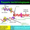 Antibiotiques 5