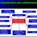 Antibiotiques 7