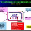 Antibiotiques 8