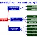 Antifongiques 7