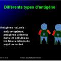 Antigènes 13