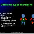 Antigènes 14