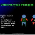 Antigènes 15