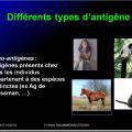 Antigènes 16