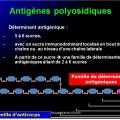 Antigènes 18