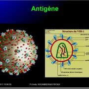 Antigènes 3