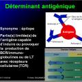 Antigènes 5