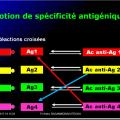 Antigènes 9