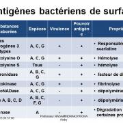 Antigènes bactériens 11