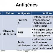 Antigènes bactériens 8