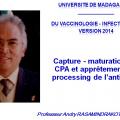 Apprêtement - processing antigène (1)
