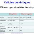 Apprêtement - processing antigène (4)