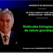 Biomolécules glucidiques 1