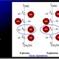 Biomolécules glucidiques 15