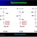 Biomolécules glucidiques 16