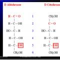 Biomolécules glucidiques 4