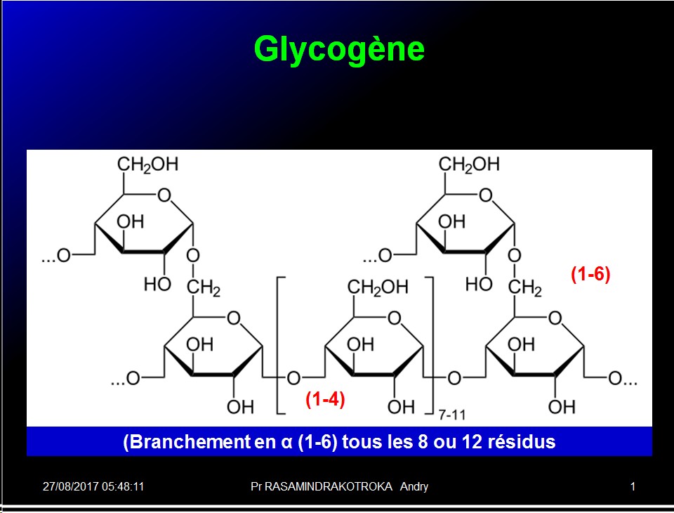Biomolécules glucidiques 42