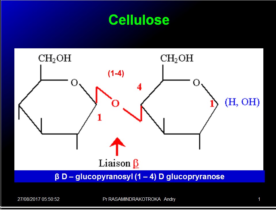 Biomolécules glucidiques 45