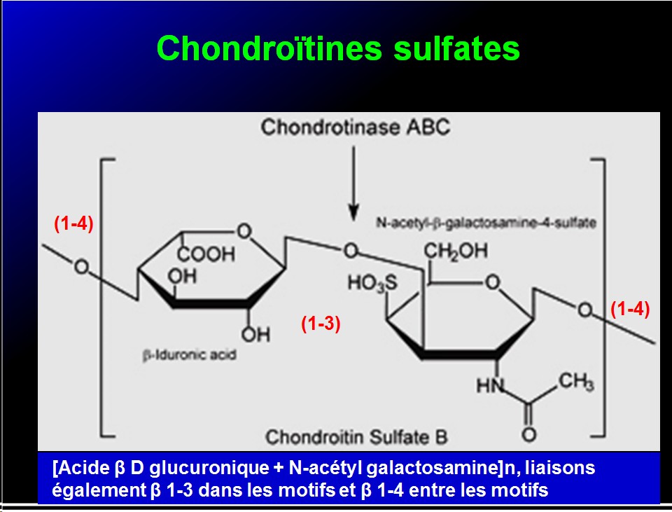 Biomolécules glucidiques 50
