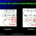 Biomolécules glucidiques 7