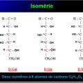 Biomolécules glucidiques 9