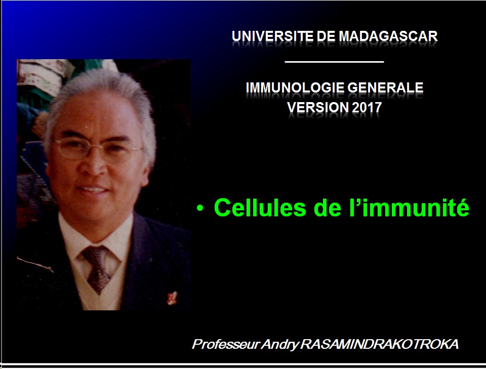 Cellules de l'immunité 1