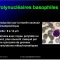 Cellules de l'immunité 10