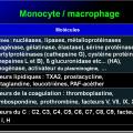 Cellules de l'immunité 17