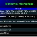 Cellules de l'immunité 18