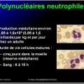 Cellules de l'immunité 3