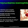 Cellules de l'immunité 6