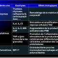 Cellules de l'immunité 8