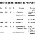 Classification et taxonomie des virus 10