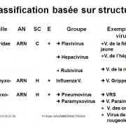 Classification et taxonomie des virus 10